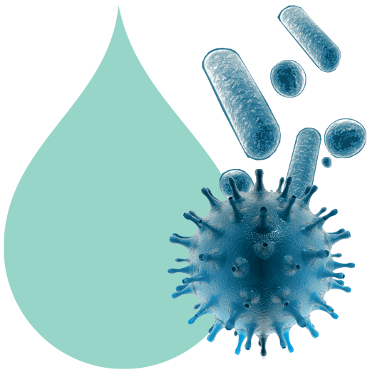 Bleu Line Export Disinfectants, Bactericides